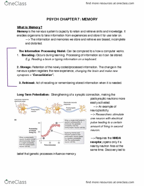 PSYC 200 Lecture Notes - Lecture 7: George Sperling, Sensory Memory, Nmda Receptor thumbnail