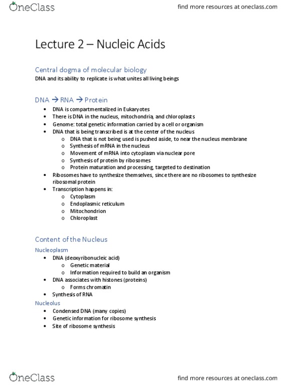 BIO206H5 Lecture Notes - Lecture 2: Endoplasmic Reticulum, Genome Size, Pentose thumbnail
