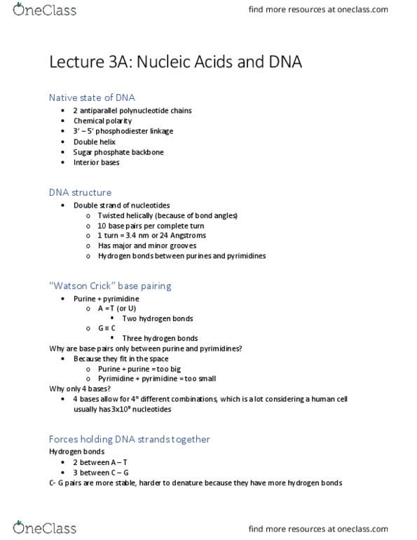 BIO206H5 Lecture Notes - Lecture 3: Nucleic Acid Double Helix, Chemical Polarity, Pyrimidine thumbnail