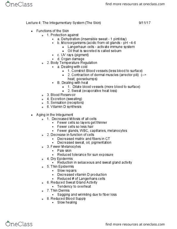 BIOL 212 Lecture Notes - Lecture 4: Stratum Spinosum, Stratum Lucidum, Stratum Corneum thumbnail