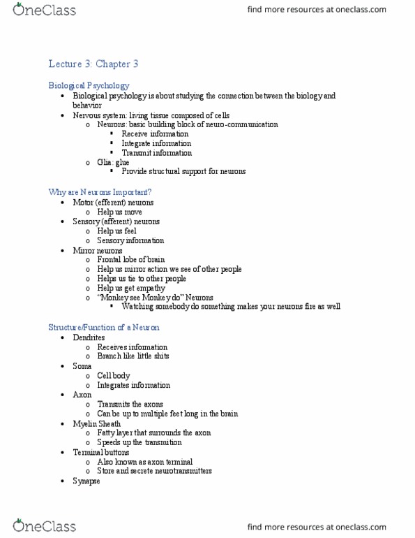 PSY 205 Lecture Notes - Lecture 3: Mirror Neuron, Axon Terminal, Sleep Paralysis thumbnail