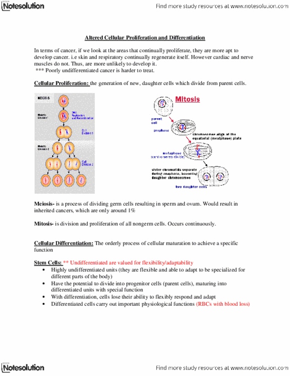 NURS 2090 Lecture Notes - Anaplasia, Metastasis, Point Mutation thumbnail