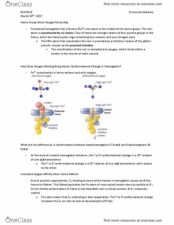 BCH 3125 Lecture Notes - Lecture 1: Heme, Pyrrole, Allosteric Regulation thumbnail