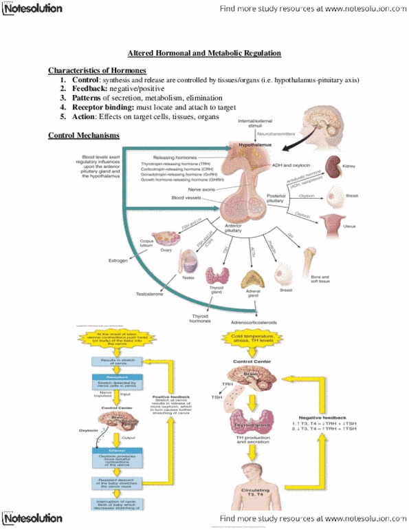 NURS 2090 Lecture Notes - Anterior Pituitary, Genetic Testing, Buffalo Hump thumbnail