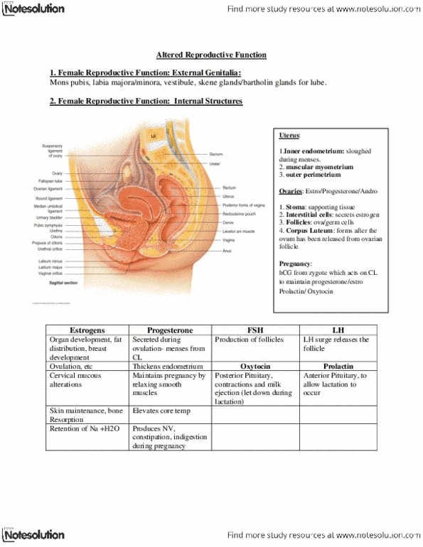 NURS 2090 Lecture Notes - Seminiferous Tubule, Basal Body, Biomarker thumbnail