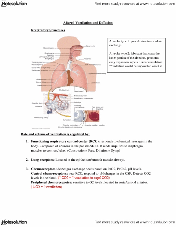 NURS 2090 Lecture Notes - Central Chemoreceptors, Acute Respiratory Distress Syndrome, Cough thumbnail