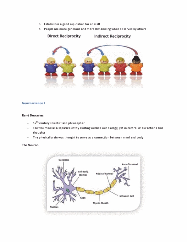 PSYCH 1XX3 Lecture Notes - Oligodendrocyte, Visual Cortex, Neuroglia thumbnail