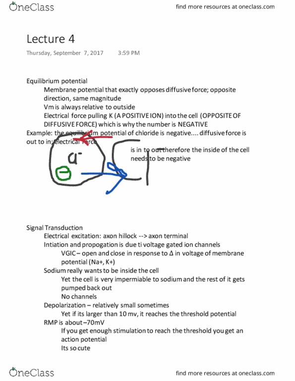NROSCI 1000 Lecture Notes - Lecture 4: Threshold Potential, Axon Terminal, Resting Potential thumbnail