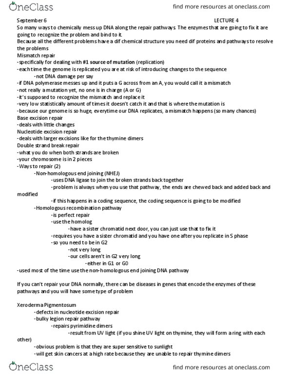 BIOL3190 Lecture Notes - Lecture 4: Dna Mismatch Repair, Pyrimidine Dimer, Xeroderma Pigmentosum thumbnail