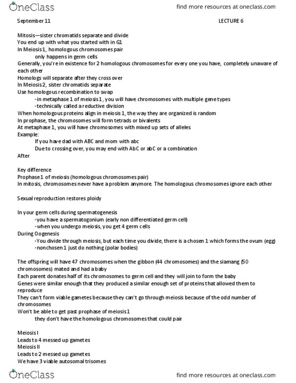 BIOL3190 Lecture Notes - Lecture 6: Sister Chromatids, Prophase, Metaphase thumbnail