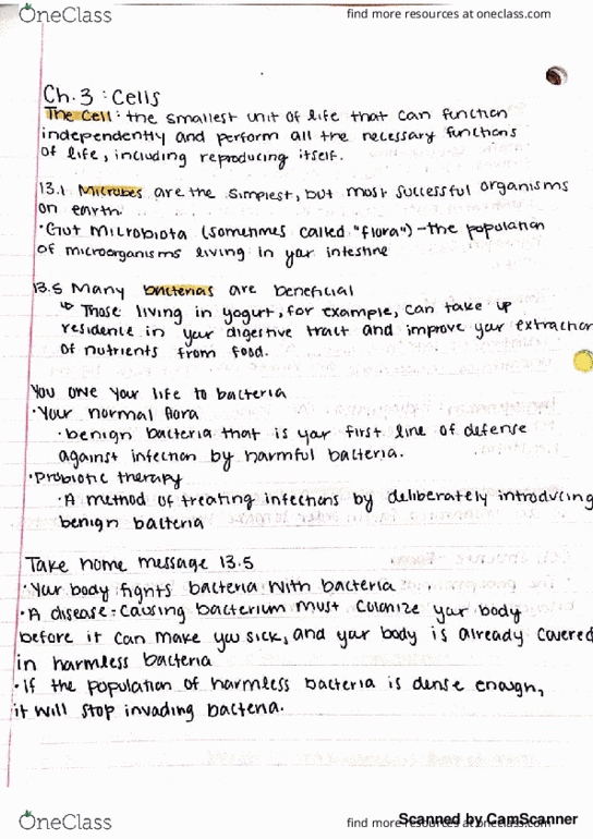 BIOL 1050 Lecture 7: BIOL 1050 Chapter 3- Cells- prof Bunnel thumbnail