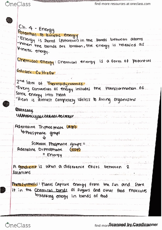 BIOL 1050 Lecture 8: BIOL 1050 Chapter 4- Energy- Prof Bunnel thumbnail