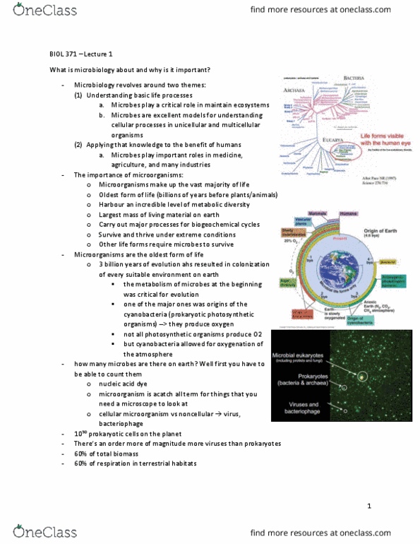 BIOL 371 Lecture Notes - Lecture 1: Rhodopseudomonas Palustris, Gut Flora, Microbial Ecology thumbnail