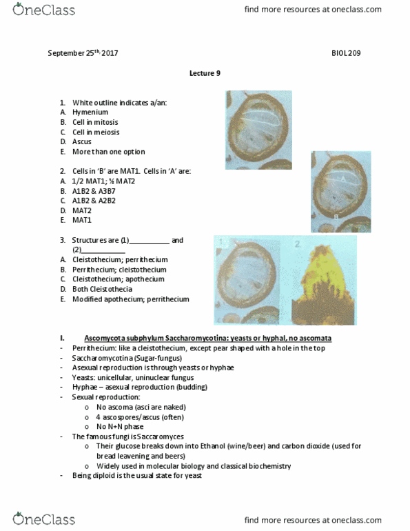 BIOL 209 Lecture Notes - Lecture 9: Ascocarp, Saccharomycotina, Ascus thumbnail