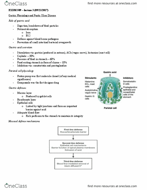 EXMD 509 Lecture Notes - Lecture 3: Small Intestinal Bacterial Overgrowth, Gastric Outlet Obstruction, Iron-Deficiency Anemia thumbnail