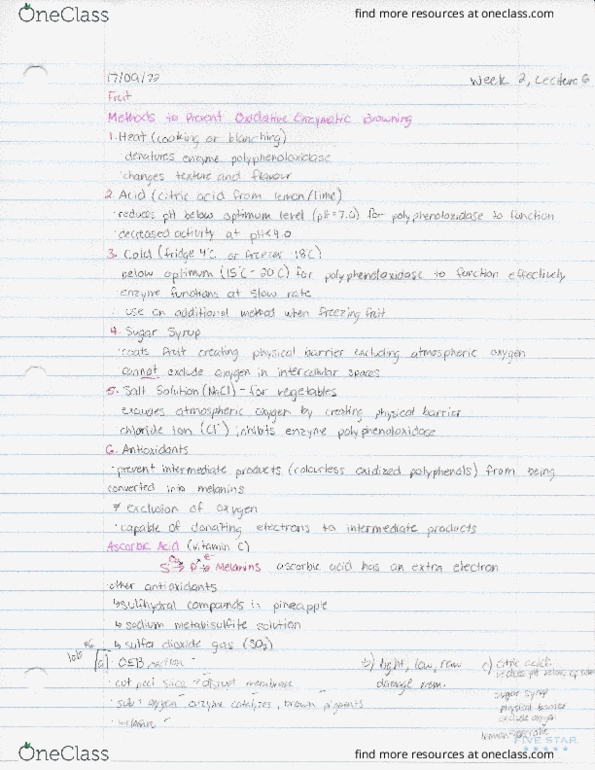 HTM 2700 Lecture Notes - Lecture 6: Citic Group, Melanin, Pineapple thumbnail