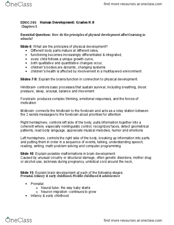 EDUC205 Chapter Notes - Chapter 5: Secondary Sex Characteristic, Synaptic Pruning, Umbilical Cord thumbnail