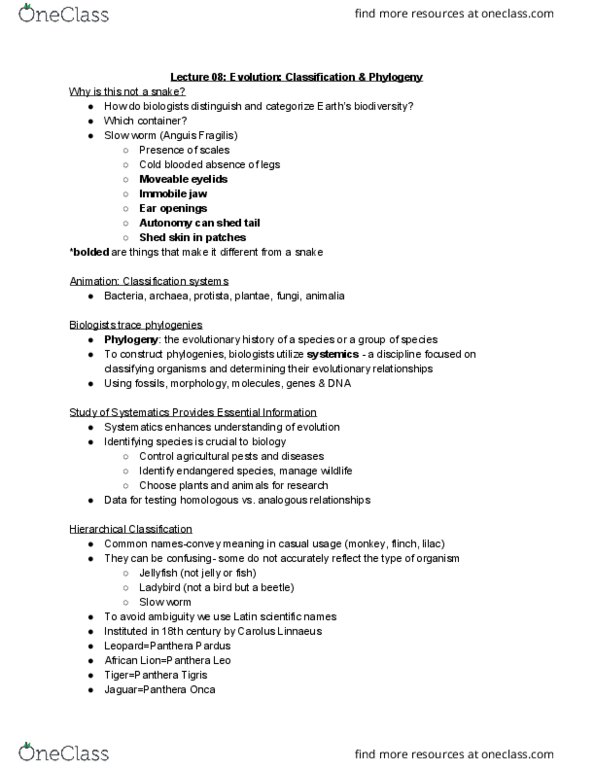 BIOA01H3 Lecture Notes - Lecture 8: Convergent Evolution, Carnivora, Protist thumbnail