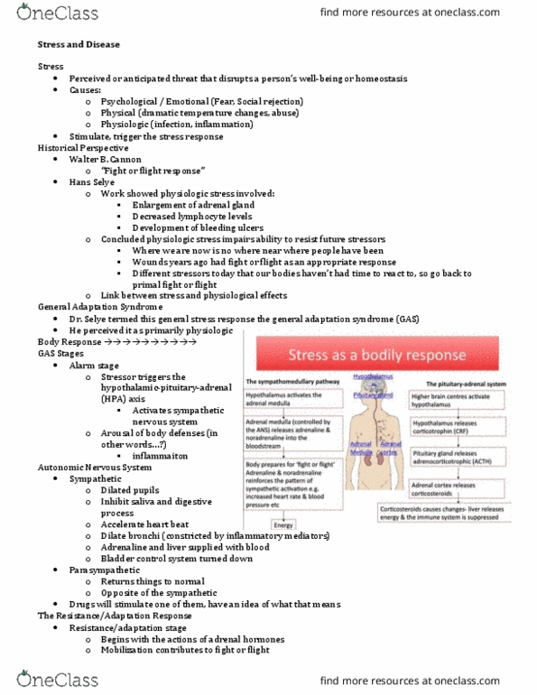 NURS 3220 Lecture Notes - Lecture 11: Stress (Biology), Sympathetic Nervous System, Adrenal Gland thumbnail