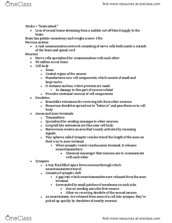 PSY 2012 Lecture Notes - Lecture 8: 3 Lbs, Axon Terminal, Long Tail thumbnail