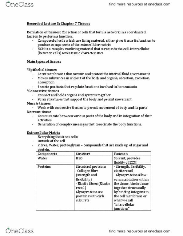 HLSC 1200U Lecture Notes - Lecture 3: Stratified Squamous Epithelium, Simple Squamous Epithelium, Simple Columnar Epithelium thumbnail