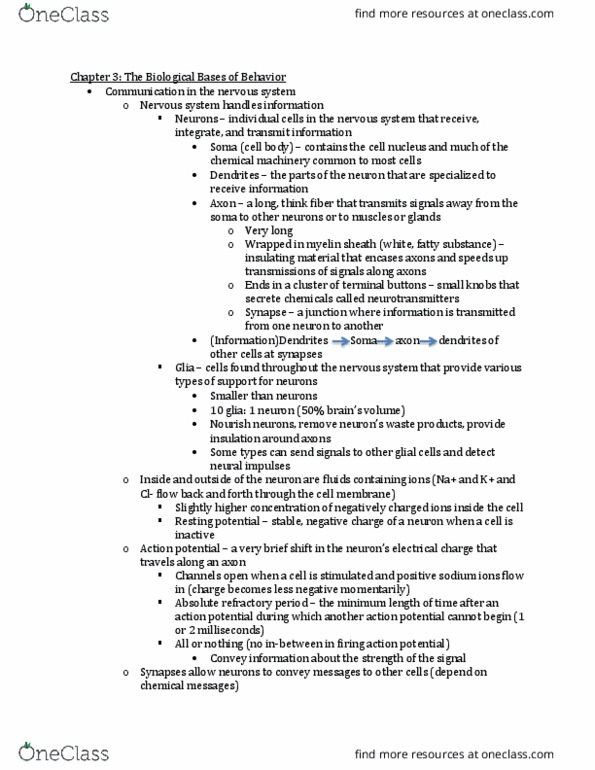 PSYCH 2010 Lecture Notes - Lecture 3: Peripheral Nervous System, Postsynaptic Potential, Somatic Nervous System thumbnail