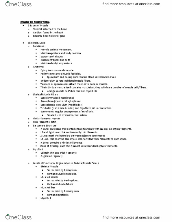 PHS 3504 Chapter Notes - Chapter 10: Endoplasmic Reticulum, Neuromuscular Junction, Myosin Head thumbnail