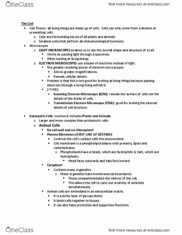 BIO 1000 Lecture Notes - Lecture 4: Scanning Electron Microscope, Endomembrane System, Endoplasmic Reticulum thumbnail