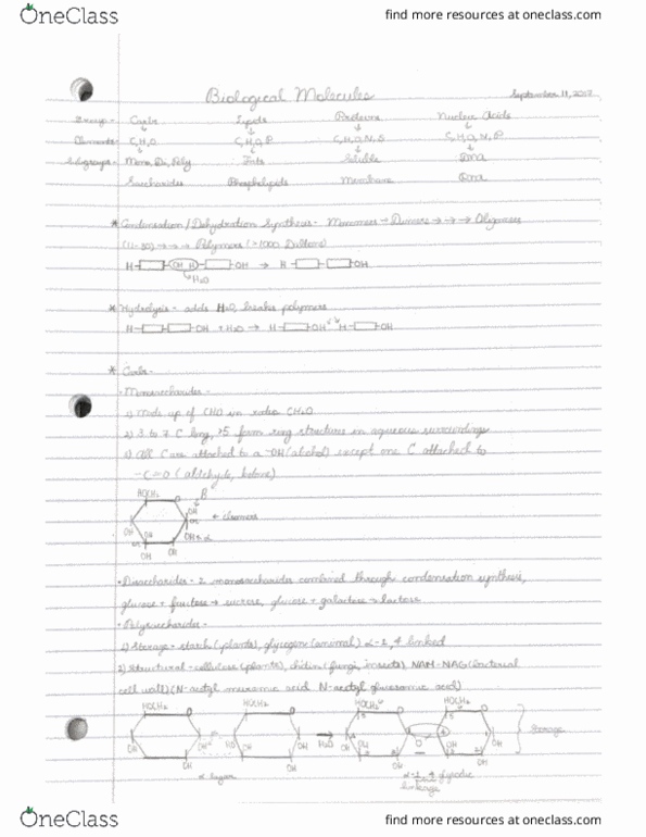 BIO 311C Lecture 5: Scanned_Documents_1__3 thumbnail