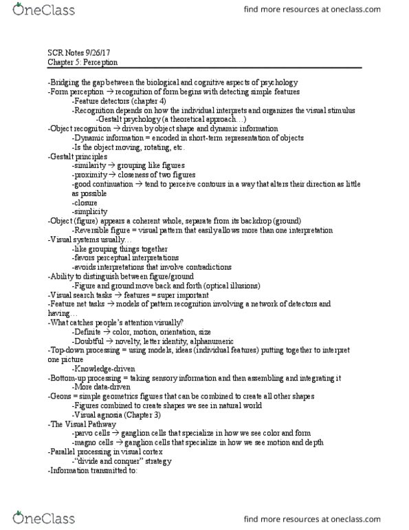 PSYC 301 Lecture Notes - Lecture 11: Visual Agnosia, Gestalt Psychology, Visual Cortex thumbnail