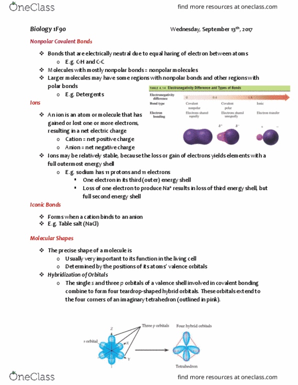 BIOL 1F90 Lecture Notes - Lecture 3: Salt, Ion, Sodium Chloride thumbnail