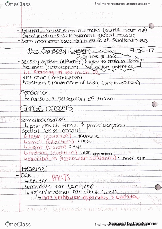 ANS 206 Lecture Notes - Lecture 6: Inq Mobile thumbnail