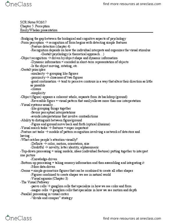 PSYC 499 Lecture Notes - Lecture 5: Visual Agnosia, Visual Cortex, Parietal Lobe thumbnail