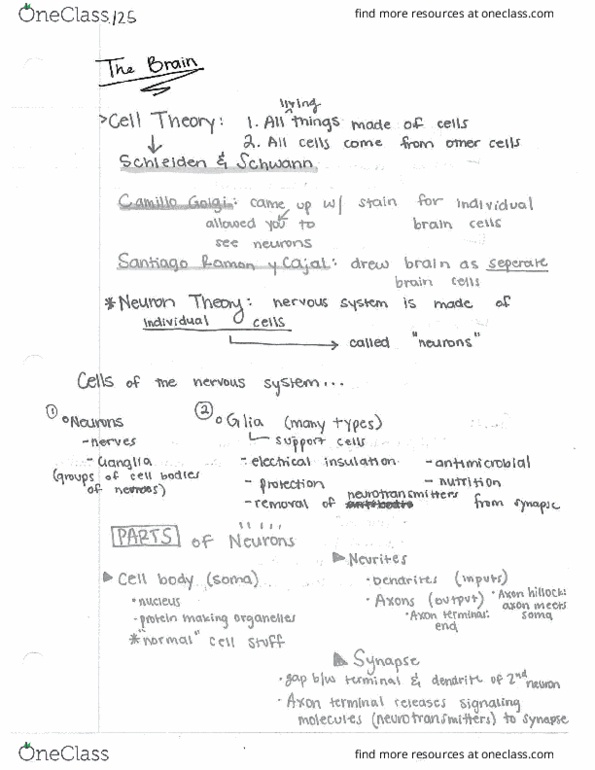 BIO 152 Lecture Notes - Lecture 8: Reci, Nerve Net, Asteroid Family thumbnail