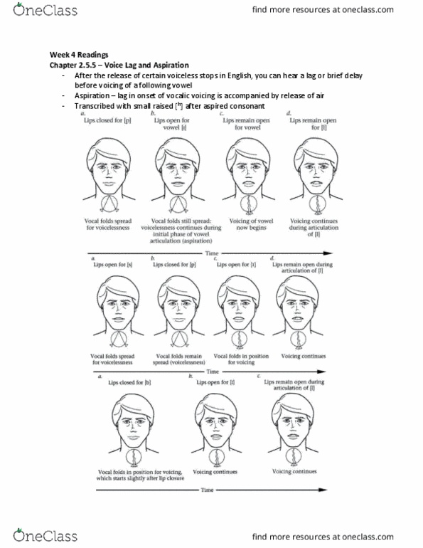 LINGUIST 1A03 Chapter Notes - Chapter 2.5.8 - 3.2: Syllabic Consonant, Tenuis Consonant, Vowel Length thumbnail