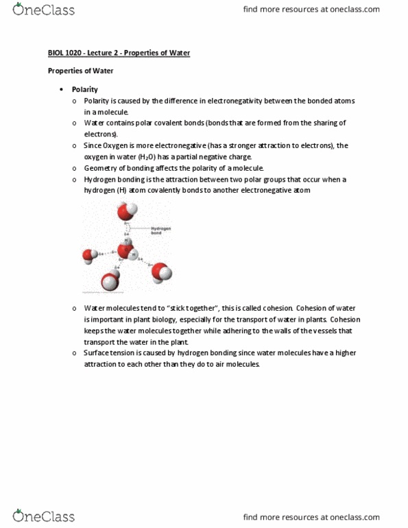 BIOL 1020 Lecture Notes - Lecture 2: Freezing-Point Depression, Hydrogen Bond, Electronegativity thumbnail
