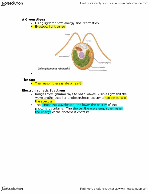 BI111 Chapter Notes - Chapter 1: Bacteriorhodopsin, Phytochrome, Chemical Energy thumbnail