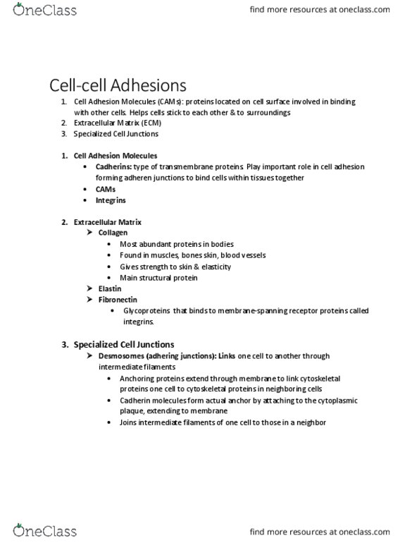 BIOL 2020 Lecture Notes - Lecture 3: Cell Adhesion, Intermediate Filament, Integrin thumbnail