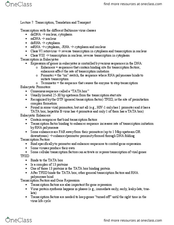 BSC 444 Lecture Notes - Lecture 7: Guanosine Triphosphate, Tata Box, Rna Virus thumbnail