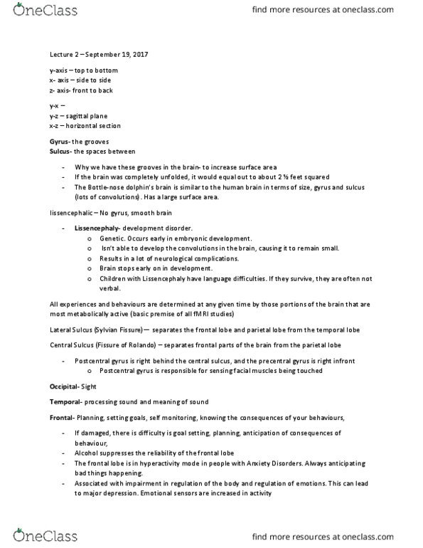 PSYC 2200H Lecture Notes - Lecture 2: Postcentral Gyrus, Parietal Lobe, Frontal Lobe thumbnail