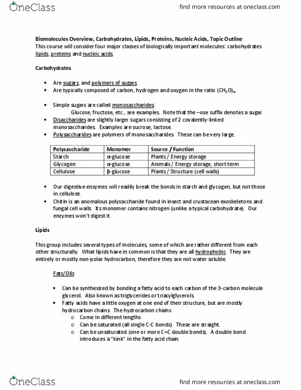 BIOL 108 Lecture Notes - Lecture 3: Olive Oil, Hydrogen Bond, Lard thumbnail