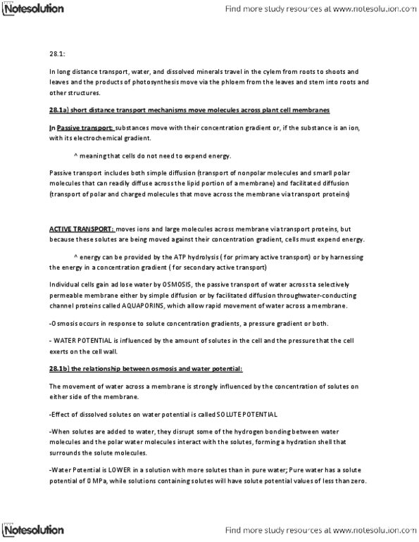 BI111 Lecture Notes - Potential Gradient, Photosynthesis, Passive Transport thumbnail