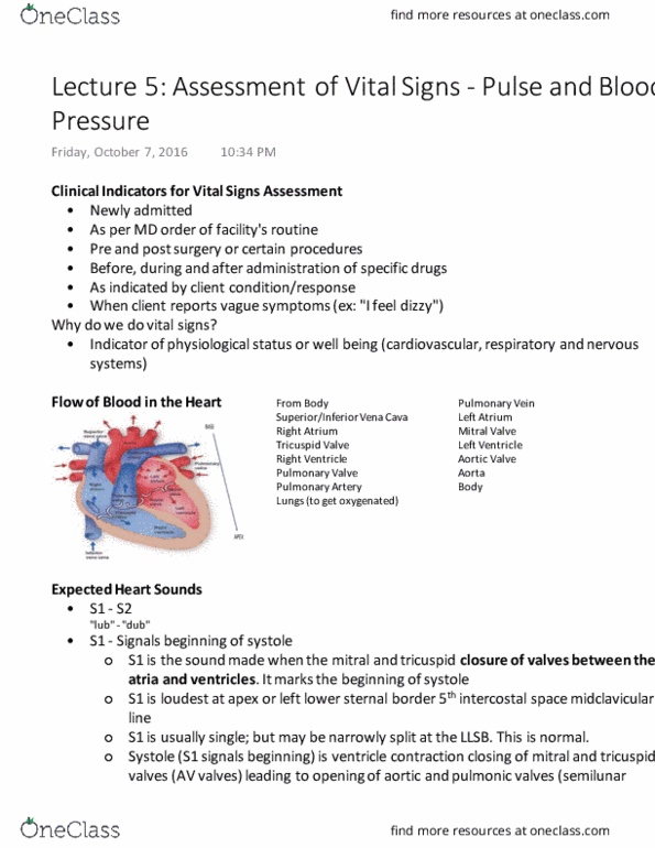 Nursing 1080A/B Lecture Notes - Lecture 5: Heart Valve, Pulse Pressure, Brachial Artery thumbnail