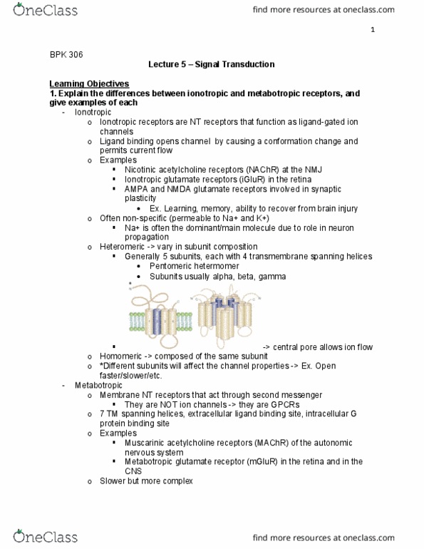 BPK 306 Lecture Notes - Lecture 5: Metabotropic Glutamate Receptor, Metabotropic Receptor, Signal Transduction thumbnail