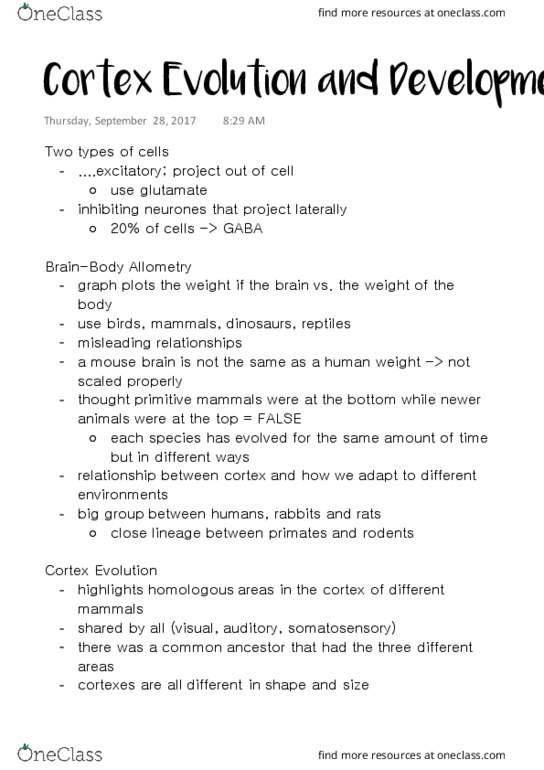 NSCI 323 Lecture Notes - Lecture 5: Capybara, Human Body Weight, Allometry thumbnail