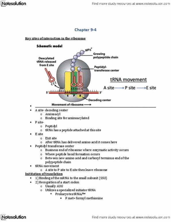 BIOL 2000 Lecture Notes - Positron, World Federation Of Trade Unions, Peptidyl Transferase thumbnail