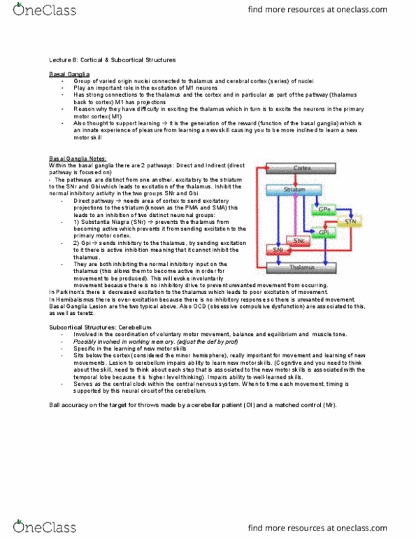 Kinesiology 3480 Lecture Notes - Lecture 8: Basal Ganglia, Cerebral Cortex, Motor Skill thumbnail