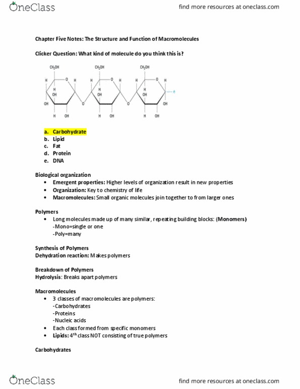 BSC 2010C Lecture Notes - Lecture 3: Glycosidic Bond, Trans Fat, Dehydration Reaction thumbnail