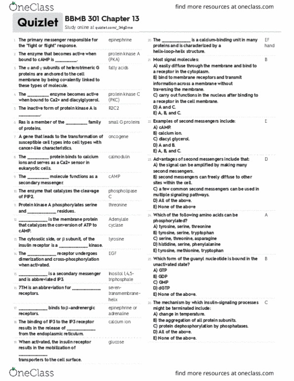 BBMB 301 Chapter Notes - Chapter 13: Protein Kinase A, Second Messenger System, Diglyceride thumbnail