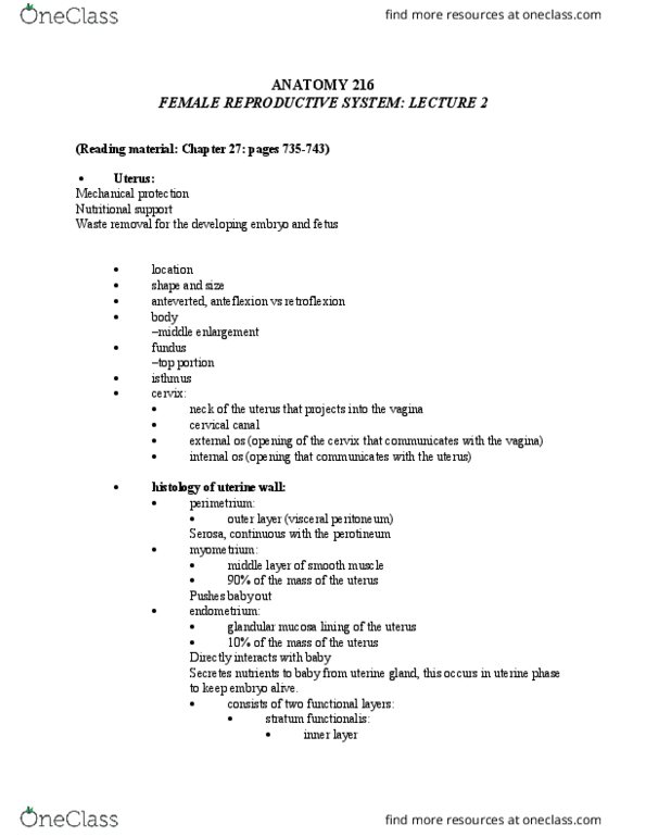 ANAT 216 Lecture Notes - Lecture 30: Internal Iliac Artery, Uterine Artery, Corpus Luteum thumbnail